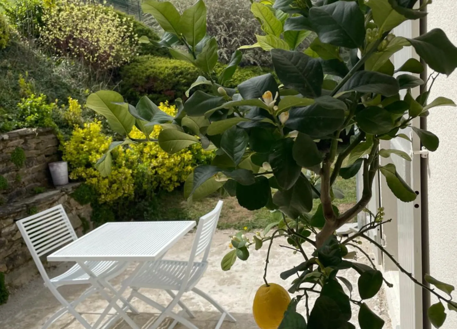 Les Terrasses Du Pilat Apartment La Valla-en-Gier France